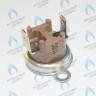 87172061620 Ограничитель нагрева STB 110°C U02X/U04X/U05X/ZSA/ZWA/ZWE BUDERUS в Новосибирске