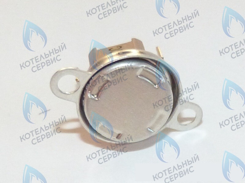 87172061620 Ограничитель нагрева STB 110°C U02X/U04X/U05X/ZSA/ZWA/ZWE BUDERUS в Новосибирске