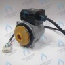 PH-W21CCW50-GW95R-5PIN Двигатель насоса WR15/5-2V (против часовой стрелки) PROTHERM Пантера 25 KTV H-RU (0020197548), Гепард, Пантера V.19 (только для ТУРБО!) (0020097216) (замена WILO INTVACL 15/5-2) в Новосибирске