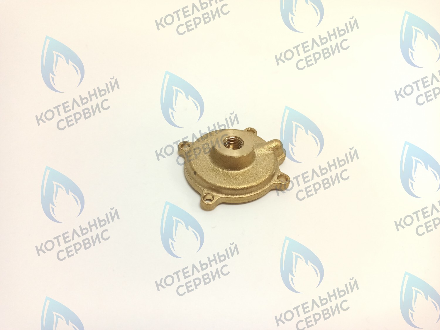 50101027 Крышка датчика протока (50101027) ELECTROLUX в Новосибирске