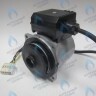 PH-W21CW60-GW105-5PIN Двигатель насоса WS15/6-2V (по часовой стрелке) PROTHERM Лев, Пантера V.18 (0020078492), Скат K13, Дельфин (0020094635), Скат V14 (0010025841) VAILLANT atmo/turboTEC 20-28 КВТ (0020213167, 0020005803), eloBLOCK (0020107584) (замена WILO VHSL15/6 HE-2, INT в Новосибирске