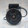 PH-W21CW60-GW105-5PIN Двигатель насоса WS15/6-2V (по часовой стрелке) PROTHERM Лев, Пантера V.18 (0020078492), Скат K13, Дельфин (0020094635), Скат V14 (0010025841) VAILLANT atmo/turboTEC 20-28 КВТ (0020213167, 0020005803), eloBLOCK (0020107584) (замена WILO VHSL15/6 HE-2, INT в Новосибирске