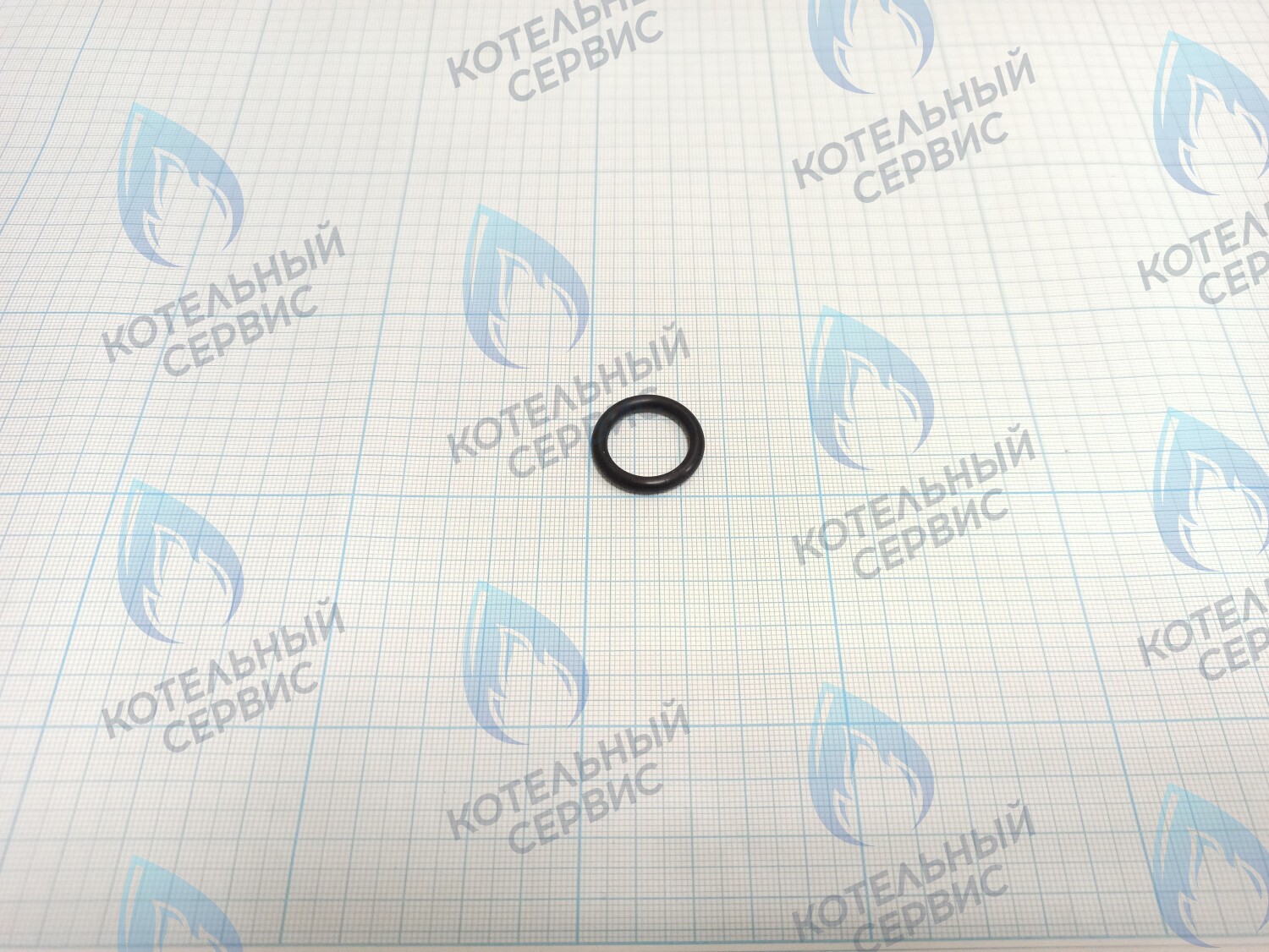 TY02020049 Прокладка O-Ring 25x18x3.55 (TY02020049) ROYAL THERMO в Новосибирске