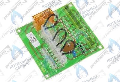 0020035009 Плата управления GRYZZLY(65,85,100 PROTHERM в Новосибирске