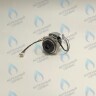 PH-W21CW50-DA84-4PIN Двигатель насоса DUCA APW 15-5.2A (2 скорости) аналог Wilo Ariston (65104319, 60000591) в Новосибирске