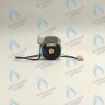 PH-W21CW50-DA84-4PIN Двигатель насоса DUCA APW 15-5.2A (2 скорости) аналог Wilo Ariston (65104319, 60000591) в Новосибирске