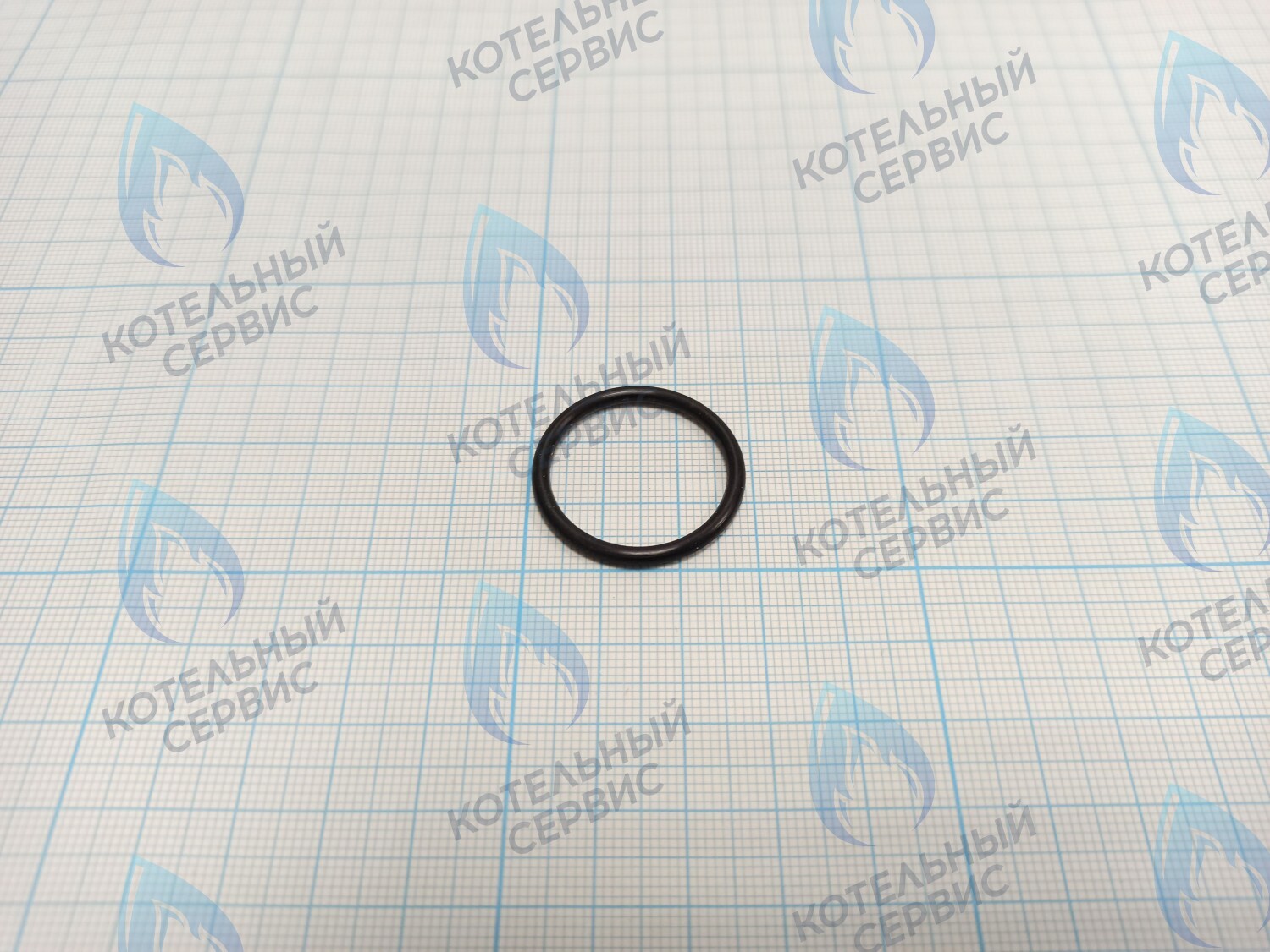 T10123-04 Прокладка уплотнительная резиновая 24x2,5 EPDM ROC в Новосибирске