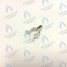 TY03040033 Клипса (TY03040033) ELECTROLUX в Новосибирске