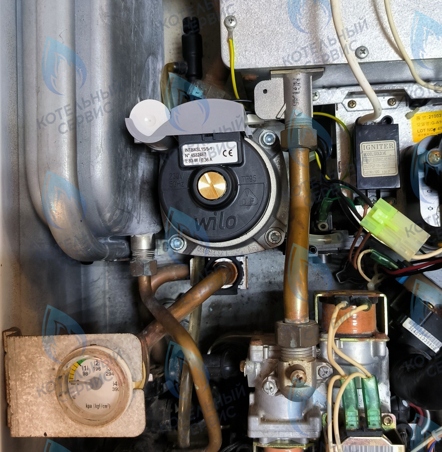 PMDS1AW50-WA82DS-Комп Насос циркуляционный 5м для MASTER GAS SEOUL 11-24 (2050118, 2050130), DAESUNG A16-24 (52050118, 52050130), ARDERIA 2.13-20, CELTIC-DS 3.13-3.20 (2050118, 2050130) в Новосибирске