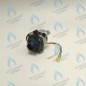 PMDS1AW50-WA82DS-Комп Насос циркуляционный 5м для MASTER GAS SEOUL 11-24 (2050118, 2050130), DAESUNG A16-24 (52050118, 52050130), ARDERIA 2.13-20, CELTIC-DS 3.13-3.20 (2050118, 2050130) в Новосибирске