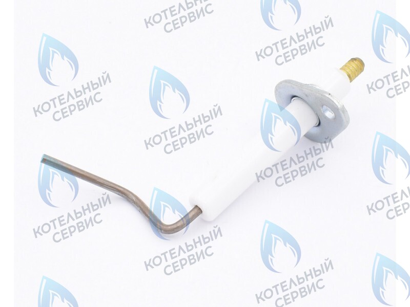 0020097415 Электрод ионизации Protherm Леопард 24 MTM-CC/1 (H-RU) в Новосибирске